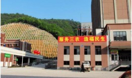 广州市爆料新闻事件处理结果,问题得到有效解决