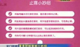 2025年天门新闻最新爆料,重大事件背后真相揭晓